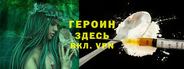индика Богородицк