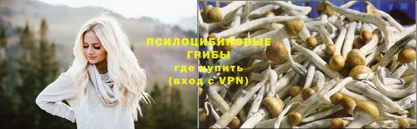 спайс Богданович