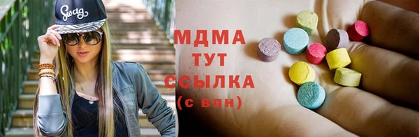 индика Богородицк