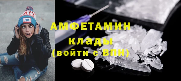 индика Богородицк