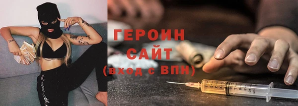 индика Богородицк