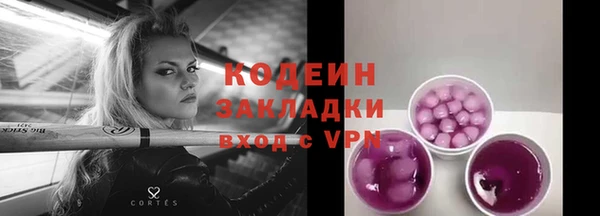 индика Богородицк