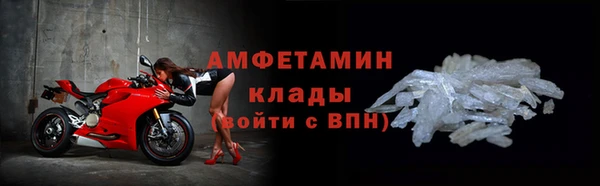 индика Богородицк