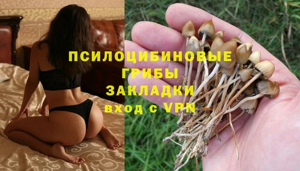 мдма Богородск