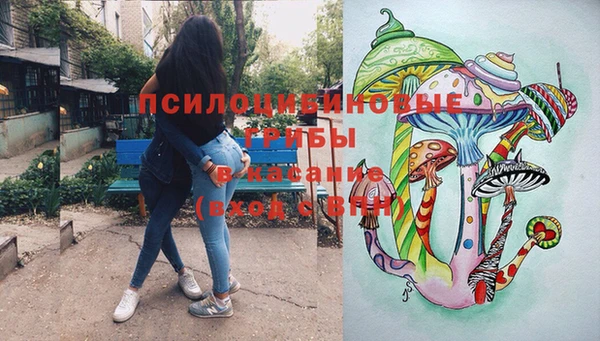 индика Богородицк