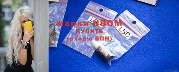 индика Богородицк