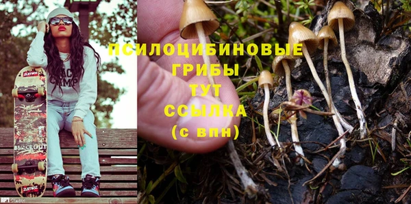 спайс Богданович