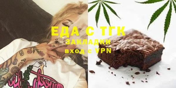 индика Богородицк