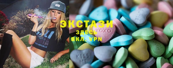 индика Богородицк