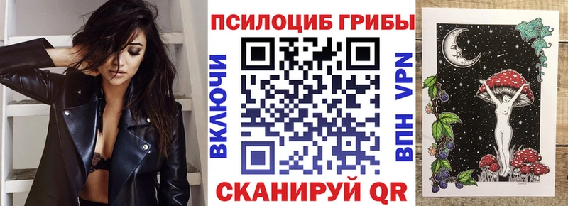 Псилоцибиновые грибы Psilocybine cubensis Дагестанские Огни